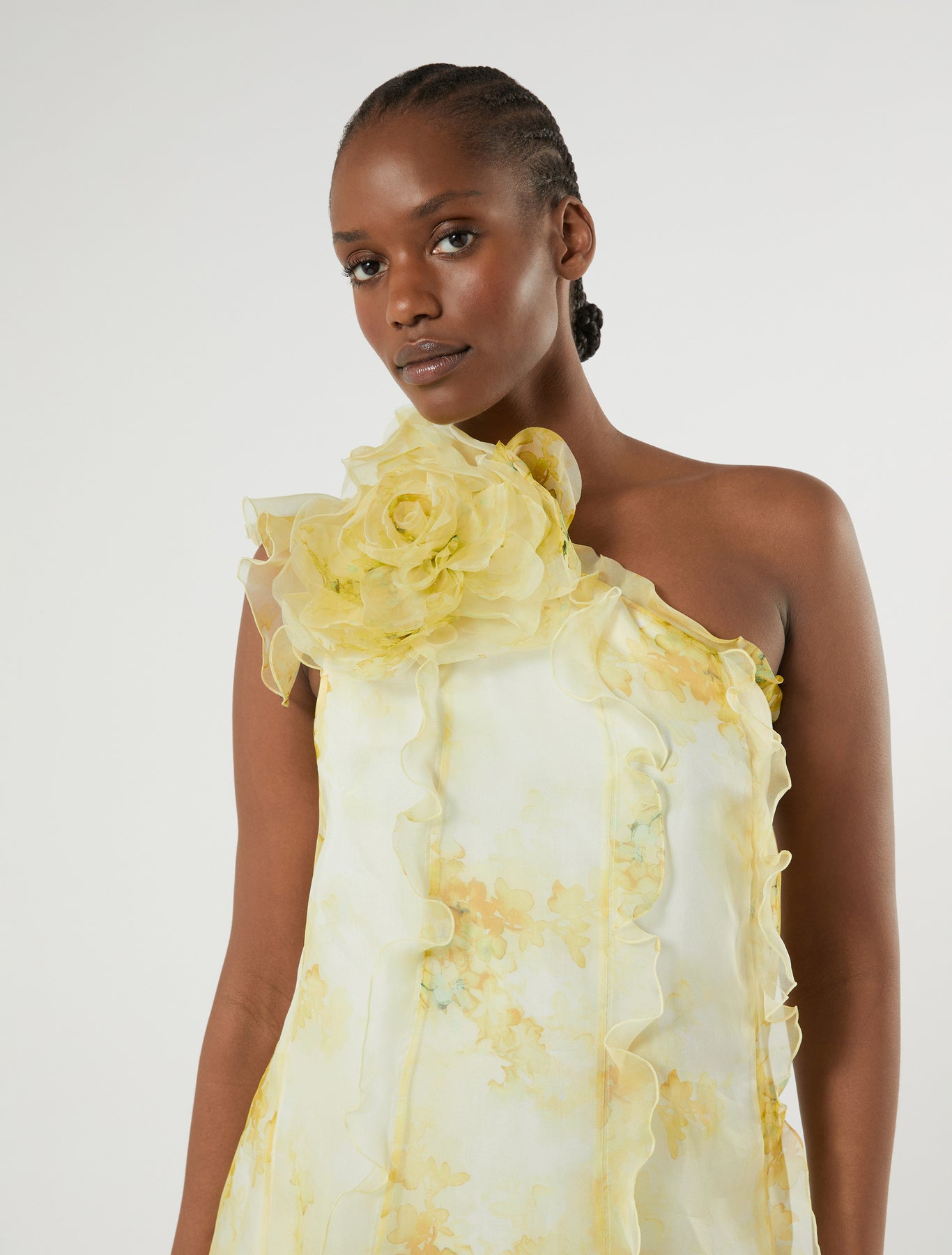 Silk organza dress