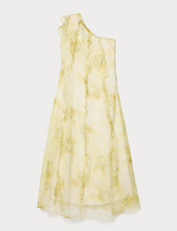 Silk organza dress